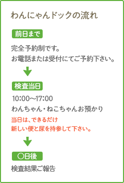 わんにゃんドックの流れ